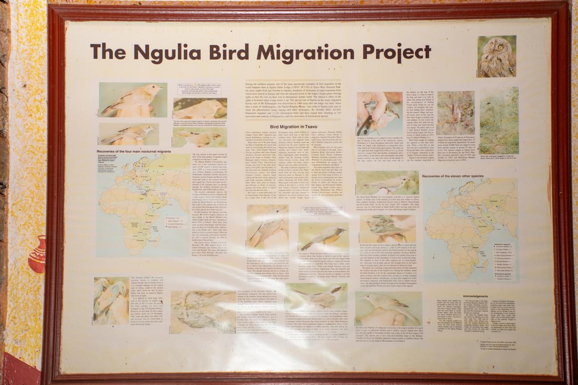 Ngulia Safari Lodge Ithumba 외부 사진