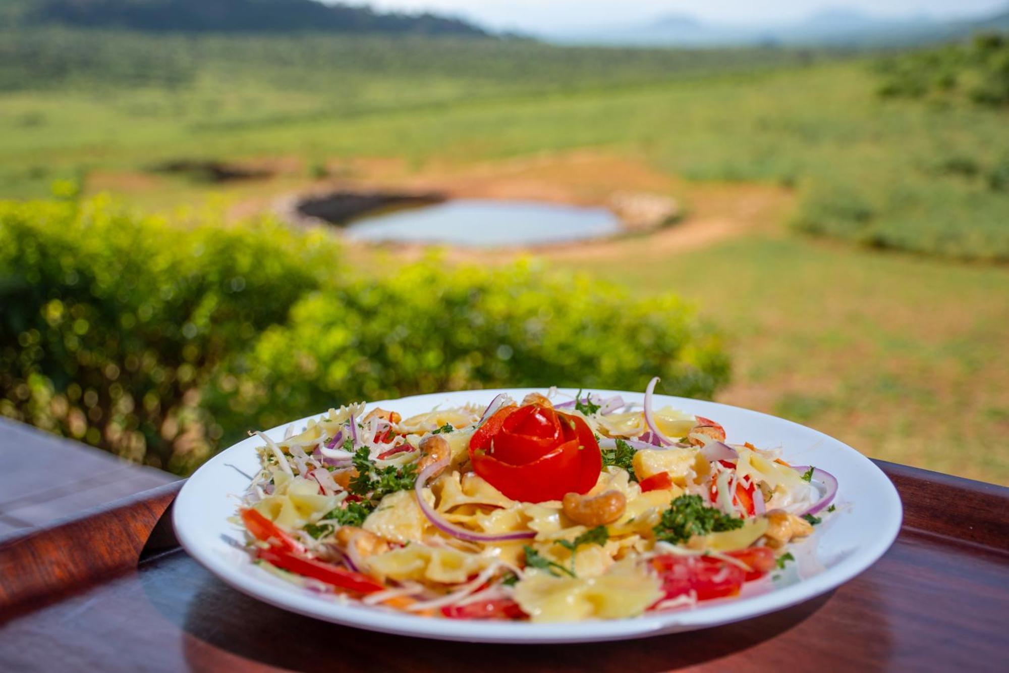 Ngulia Safari Lodge Ithumba 외부 사진